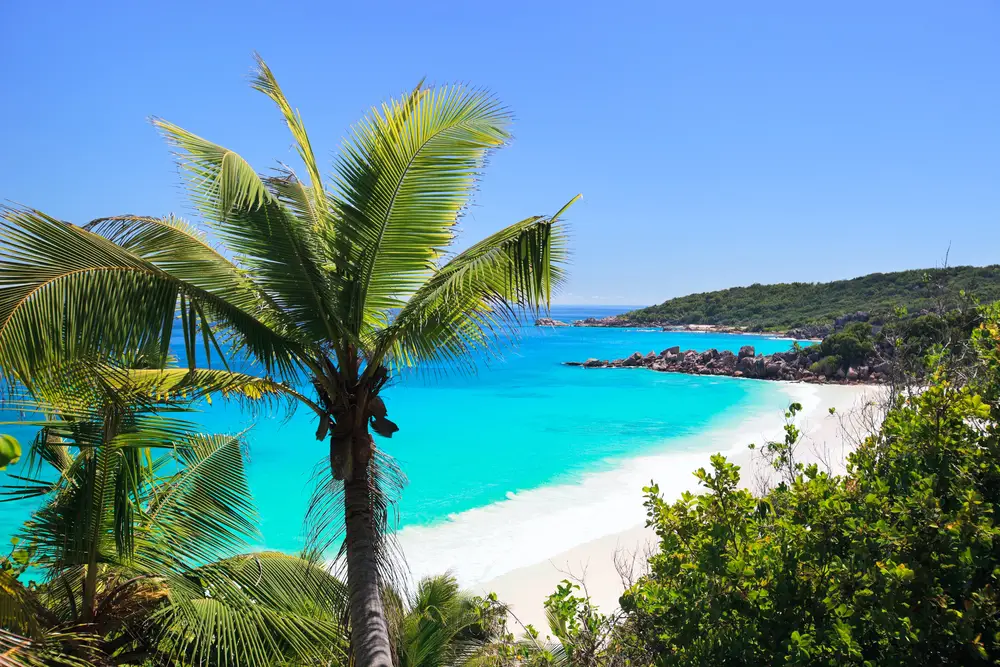 Perfect beach in Seychelles with white sand, turquoise waters, palm trees and blue sky